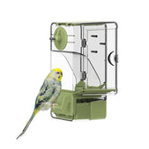 Septillar automatic feeder front view with perch, mess-free feeding for small birds.
