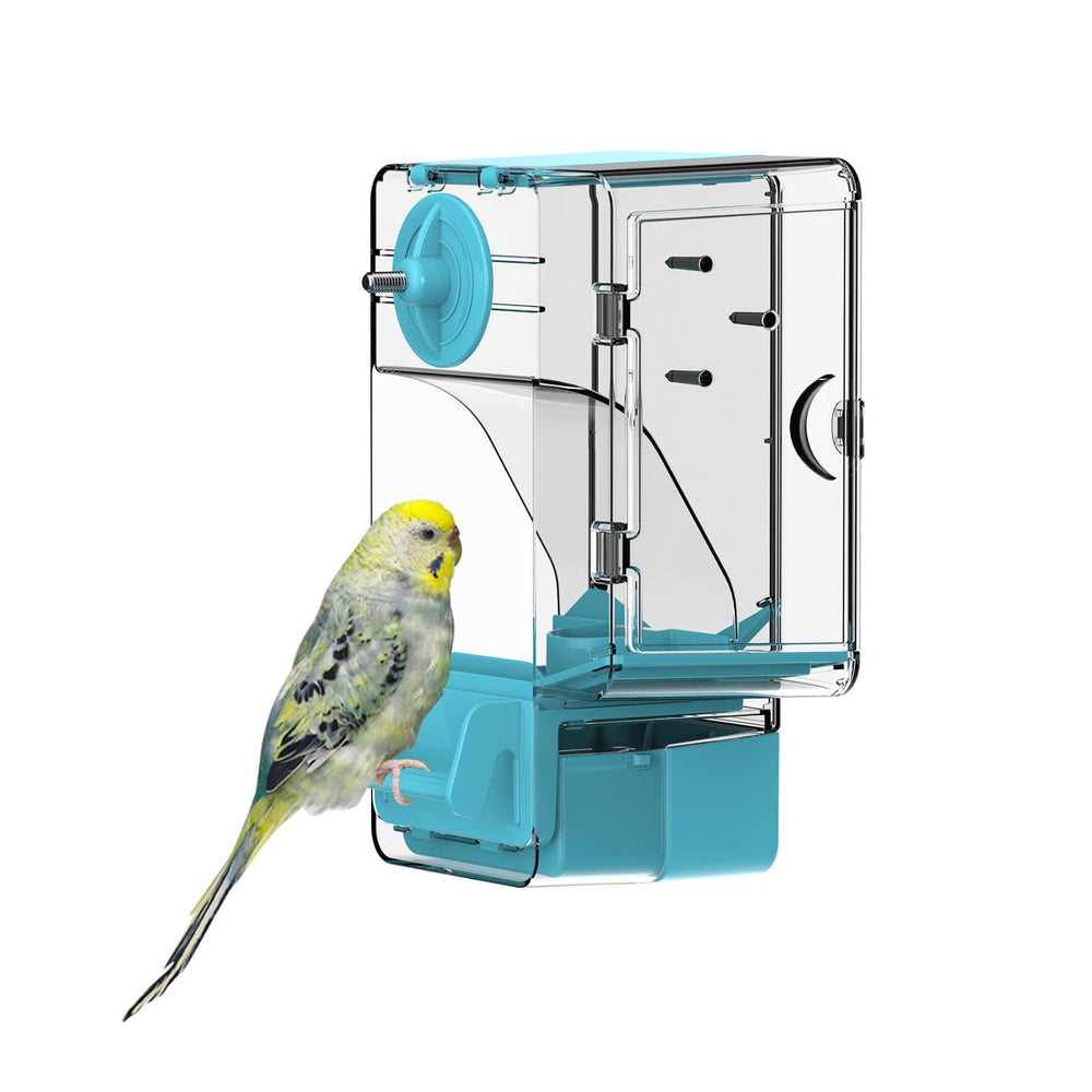 Septillar automatic feeder front view demonstrates a clean, low-maintenance feeding solution for small birds.