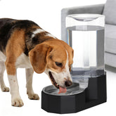 Sfozstra 8L water feeder for multi-pet homes with gravity refill.