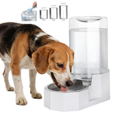 Sfozstra automatic water dispenser with 8L capacity ensuring constant hydration at home