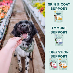 Shameless Pets Break and Egg soft-baked treats, tasty option for everyday training.