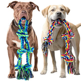Sharlovy large-pack dog rope toy for durable play sessions.