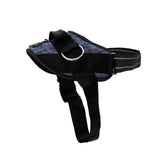 ShawnCo Essential Harness front clip for smoother daily walks