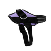 SHAWNCO Essential harness with no-pull rings for safer daily walks