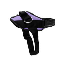 SHAWNCO Essential harness with no-pull rings for safer daily walks