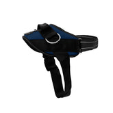 SHAWNCO Essential Dog Harness Pacific Blue front view for comfortable no-pull walks