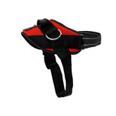 ShawnCo Essential Dog Harness with three-ring no-pull for smoother walks