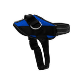 ShawnCo Essential harness with three rings for safer, calmer walks