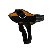 ShawnCo Essential Harness with 3-ring no-pull setup for safer, controlled walks.