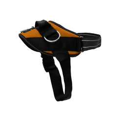 ShawnCo Essential Harness with 3-ring no-pull setup for safer, controlled walks.