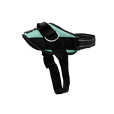 ShawnCo Essential Harness front view for comfortable daily walks with no pull design