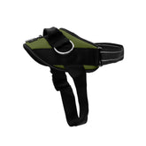 ShawnCo Essential No-Pull Harness with 3 rings for comfortable daily walks.