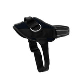 ShawnCo Essential Dog Harness with no pull design and three rings for better control.