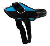 ShawnCo Essential harness front view with no-pull design for calmer walks.