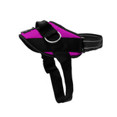 ShawnCo Essential Dog Harness in orchid on dog, no-pull design for safer walks.