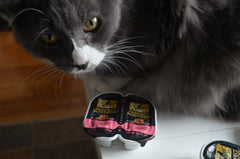 Sheba Perfect Portions multipack box highlighting 24 servings and corn-free formula.