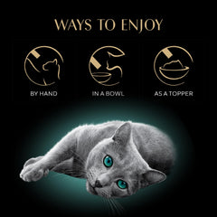 Sheba Premium Puree Roasted Chicken cat licking the creamy, protein-rich treat