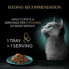 Sheba soft wet cat food in twin-pack trays.