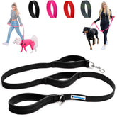 Shed Defender 5ft leash with traffic handles for quick control during walks.