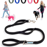 Shed Defender shock absorbing bungee leash for comfortable walking