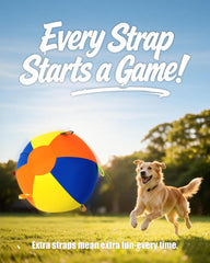 SHEENLULU Herding Ball strap seams close-up showing grip for interactive games.