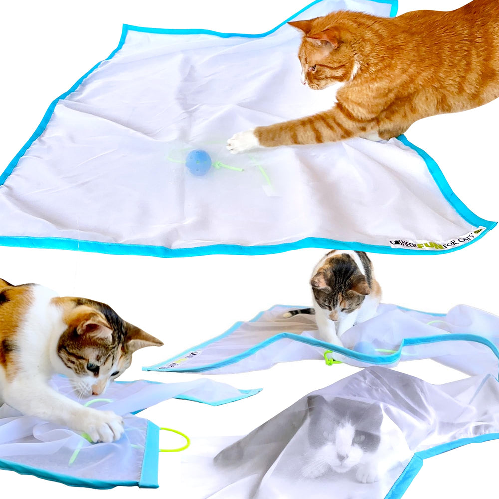 Sheer Fun For Cats toy with blue and white sheer fabric that invites stalking and pouncing.