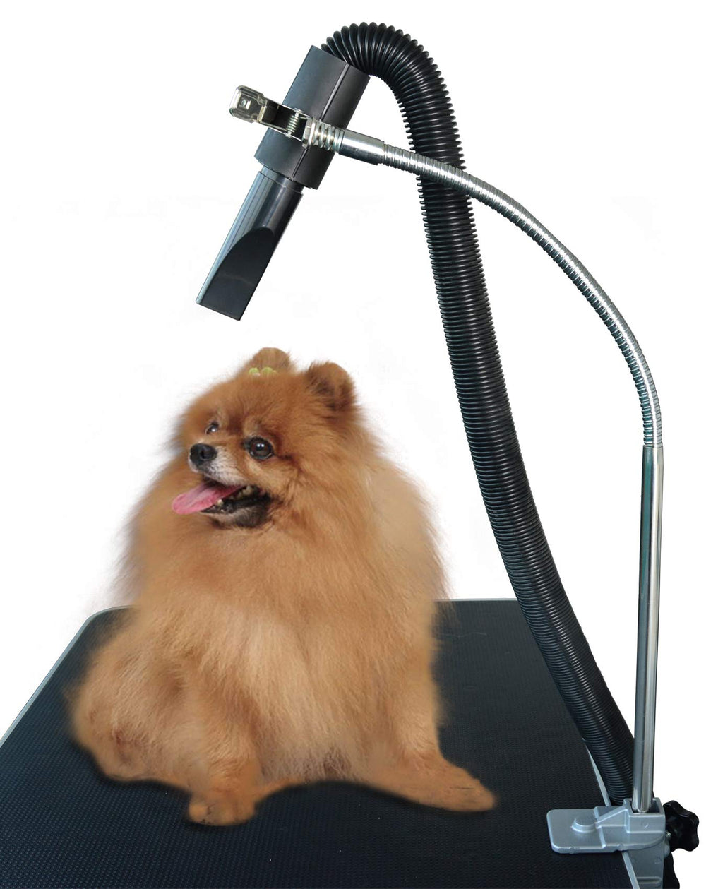 SHELANDY dog grooming table hose holder secures the dryer hose for hands-free grooming.