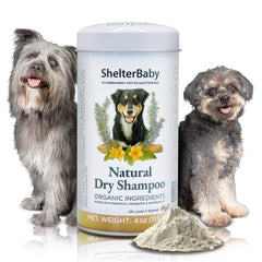 ShelterBaby dry shampoo for dogs bottle pour enables quick, mess-free refresh between baths.
