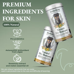 ShelterBaby dry shampoo for dogs no-rinse keeps coats clean without baths.