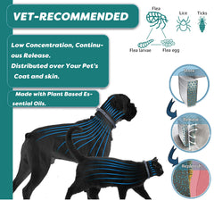 ShengKou 27-5in collar on a large dog illustrating long-lasting coverage.