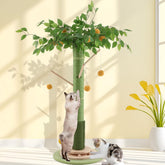 Sheripet 45-inch scratching post with vertical stretch for active indoor cats.