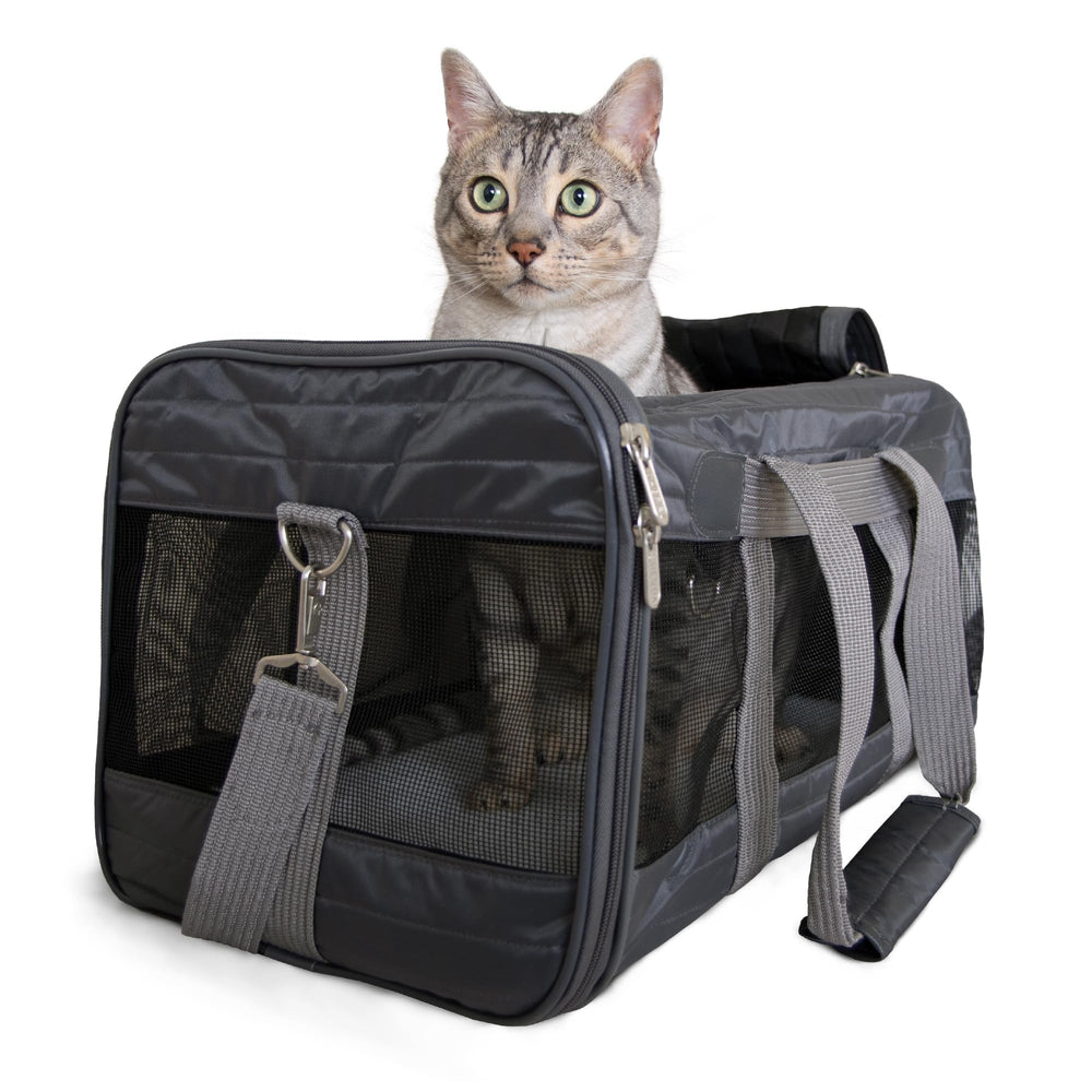 Sherpa pet carrier under-seat fit for easy airplane travel.