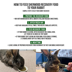 Sherwood Pet Health feeding syringe shown for precise dosing