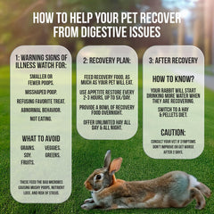 Sherwood Pet Health Timothy hay–based Recovery Food packets for digestion support