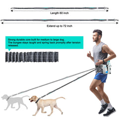 SHINE HAI 72-inch reach provides ample running space for two dogs beside you.