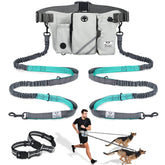 SHINE HAI retractable leash for two dogs with dual bungees offers hands-free control.