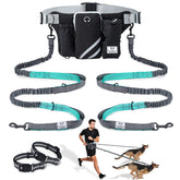 SHINE HAI two-dog leash with dual bungees enabling hands-free walking and secure control