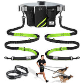SHINE HAI retractable leash for two dogs, keeping hands free during walks.