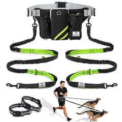 SHINE HAI retractable leash for two dogs, keeping hands free during walks.