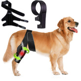 SHIUMORE dog knee brace with side stabilizers supports hind leg during walks.