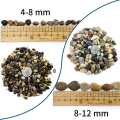 SHIZWU natural river gravel adds texture for realistic aquascapes.