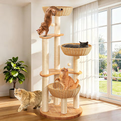 SHODMI 54-inch modern cat tree with oak base, sturdy indoor play.