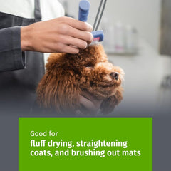 Show Tech slicker brush detangling a doodle coat