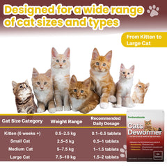 Kittens and adult cats using SHUNNIUB dewormer supports multi-cat households.