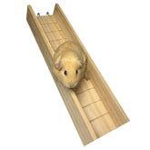 Shuoxpy guinea pig bridge full view promotes active play and exploration.