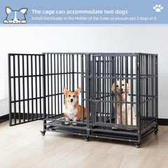 SHUSHIM crate interior layout showing spacious living area for big breeds