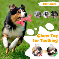 SHWLNY nylon bone dog toy in seafood flavor ready for tough chewers