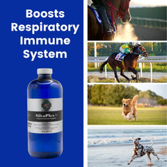 SILVAPLEX demonstrates multi-animal use across dogs, cats, horses, and livestock.