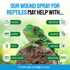 Applying SILVER GRADE Reptile Wound Care Spray to a wound