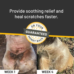 Silver Honey rapid relief application steps show easy use on horses.
